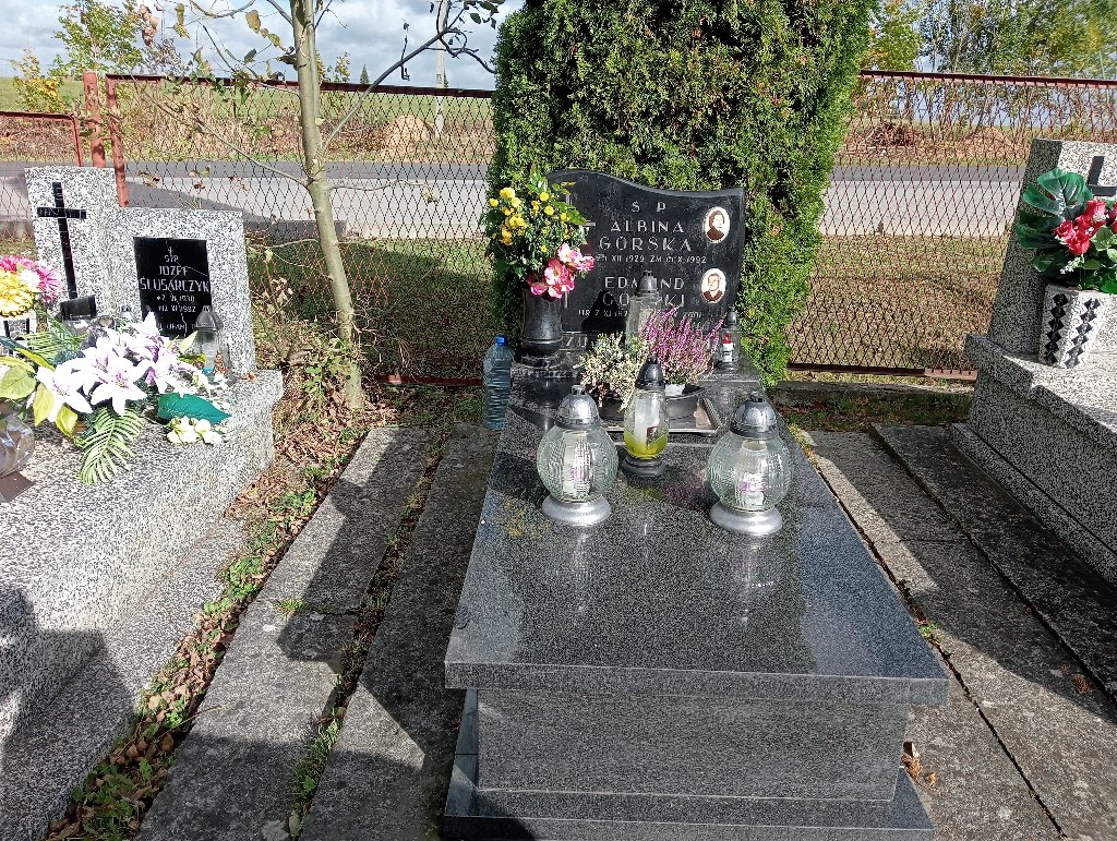 Grób Albina Górska